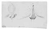 Peacocks, John Singer Sargent (American, Florence 1856–1925 London), Graphite on off-white wove paper, American